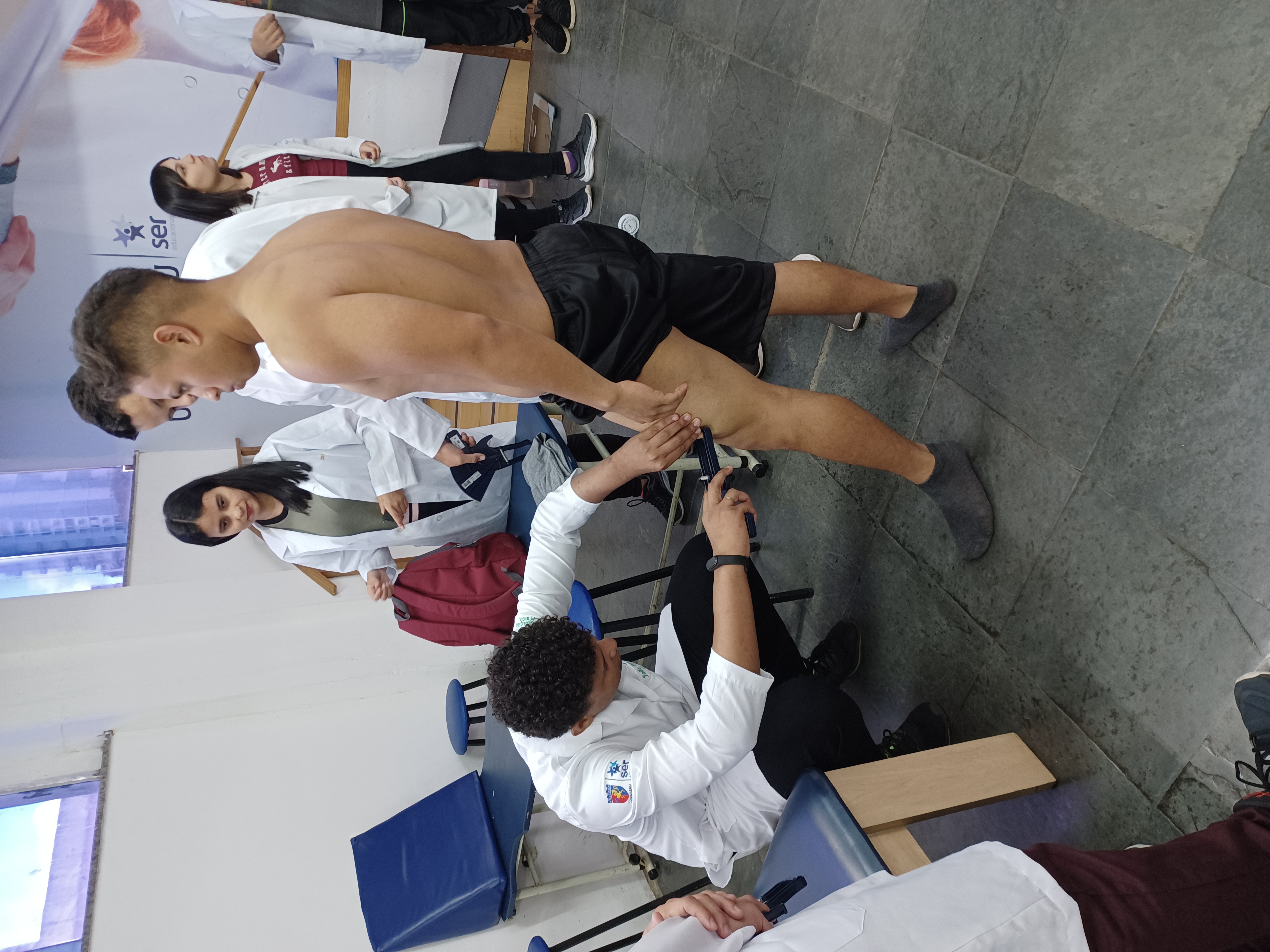 Projeto 6